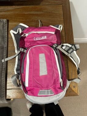 CamelBak Magenta and Gray Hydration Backpack